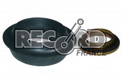 RECORD FRANCE 925411 -  Опора стойки амортизатора